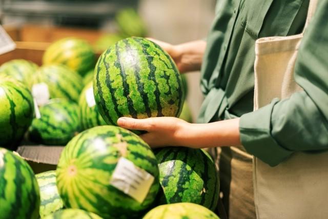A consumer selects a watermelon from a bulk bin in a grocery store